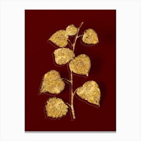 Vintage Quaking Aspen Botanical in Gold on Red n.0187 Canvas Print