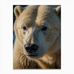 Polar Bear  7 Canvas Print