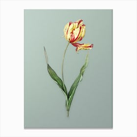 Vintage Didier's Tulip Botanical Art on Mint Green n.0336 Canvas Print
