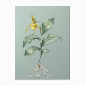 Vintage Yellow Lady's Slipper Orchid Botanical Art on Mint Green n.0640 Canvas Print