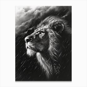 African Lion Charcoal Drawing Facing A Storm 1 Canvas Print