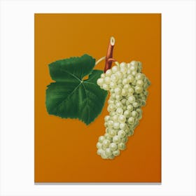 Vintage White Grape Botanical on Sunset Orange n.0957 Canvas Print
