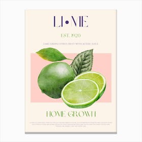 Lime Fruit Mid Century Canvas Print