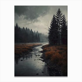 Dark Forest 2 Canvas Print