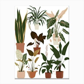 Houseplants In Pots 2 Canvas Print