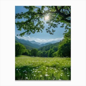 Field Of Daisies 1 Canvas Print