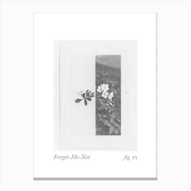 Forget Me Not Botanical Collage 2 Canvas Print