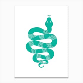 Large Snake Stripes Mint Canvas Print
