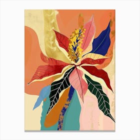 Colourful Flower Illustration Poinsettia 3 Canvas Print