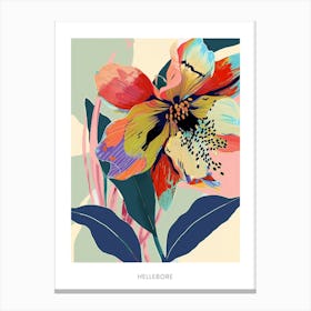 Colourful Flower Illustration Poster Hellebore 3 Canvas Print