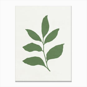 Minimalist Leaf 010 Canvas Print