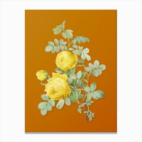 Aaeap Vintage Sulphur Rose Botanical On Sunset Orange Canvas Print