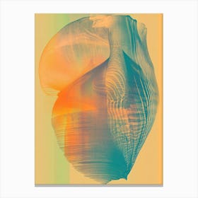 Shells Canvas Print