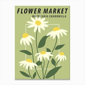 Flower market Chamomile Daisy, Green floral art print Canvas Print