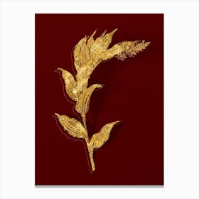 Vintage Treacleberry Botanical in Gold on Red n.0444 Canvas Print