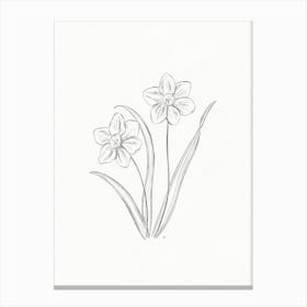 Daffodils Canvas Print