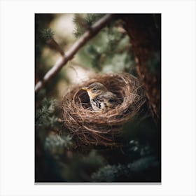 Alone In The Nest Canvas Print