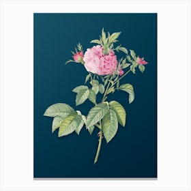 Vintage Pink Agatha Rose Botanical Art on Teal Blue n.0812 Canvas Print