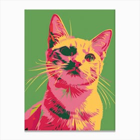 Pop Cat Canvas Print