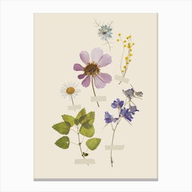 Spring Wildflowers Poster Art Print Canvas Print
