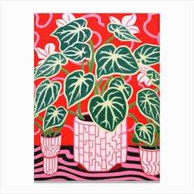 Pink And Red Plant Illustration Fittonia White Anne 2 Canvas Print