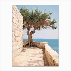 Tree Shade Summer Photography Canvas Print