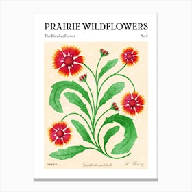 Prairie Wildflowers The Gaillardia Canvas Print