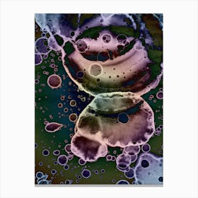 Mysterious Spots Canvas Print