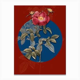 Vintage Botanical Stapelia Rose Bloom on Circle Blue on Red n.0265 Canvas Print