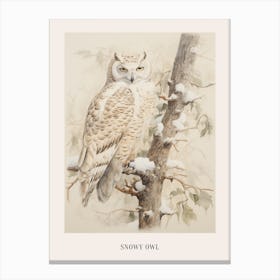Vintage Bird Drawing Snowy Owl 3 Poster Canvas Print