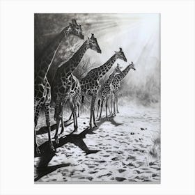 Pencil Portrait Herd Of Giraffes In The Wild  4 Canvas Print