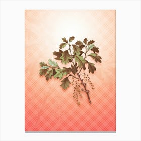 Bear Oak Vintage Botanical in Peach Fuzz Tartan Plaid Pattern n.0253 Canvas Print