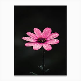 Pink Flower 3 Canvas Print