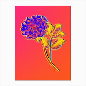 Neon Tree Peony Botanical in Hot Pink and Electric Blue n.0079 Canvas Print