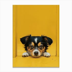 Chihuahua 1 Canvas Print