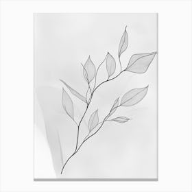 Branch Of Leaves Canvas Print