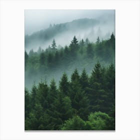 Misty Forest 2 Canvas Print