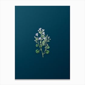Vintage Dalmatian Wall Campanula Botanical Art on Teal Blue Canvas Print