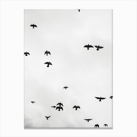 Flight And Freedom 04 Canvas Print