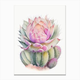 Acanthocalycium Cactus Pastel Watercolour 1 Canvas Print
