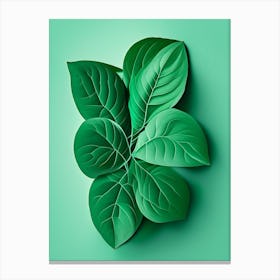 Mint Leaf Vibrant Inspired 2 Canvas Print