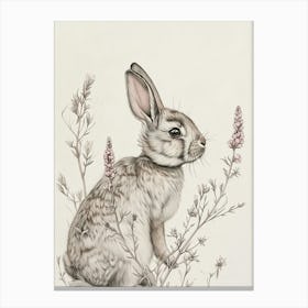 Satin Rabbit Drawing 1 Canvas Print