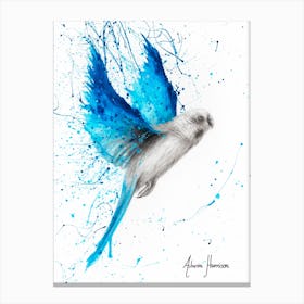 Blue Lake Budgie Canvas Print