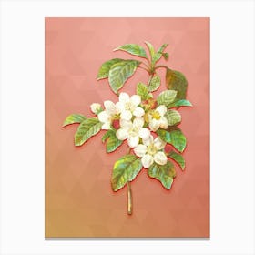 Vintage Apple Blossom Botanical Art on Peach Pink Canvas Print