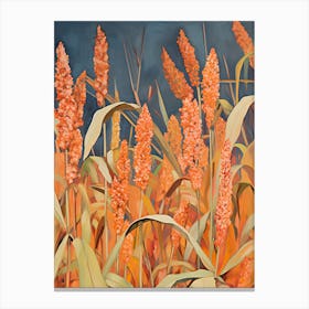 Sorghum Field Canvas Print