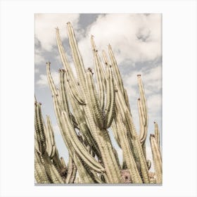 Desert Cathedral Canvas Print
