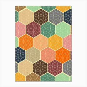 Hexagonal Pattern Vector Canvas Print