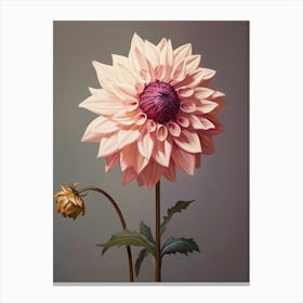 Floral Illustration Dahlia 1 Canvas Print