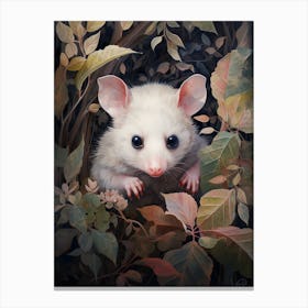 Adorable Chubby Hidden Possum 2 Canvas Print