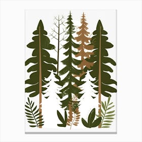 Fir Trees In The Forest 1 Canvas Print